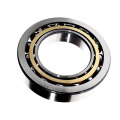 Original Jpan Sweden Germany brand 80TAC20XPN7+LC6  High Precision Double row Angular Contact Ball Bearing 80*125*54mm